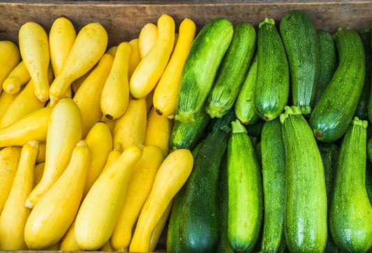 Yellow Squash &  Zucchini