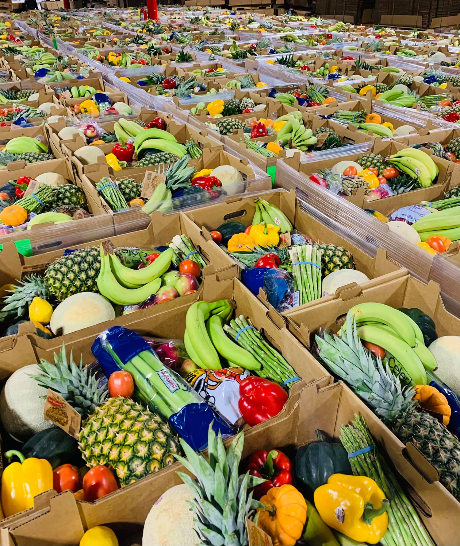 Produce & Plants