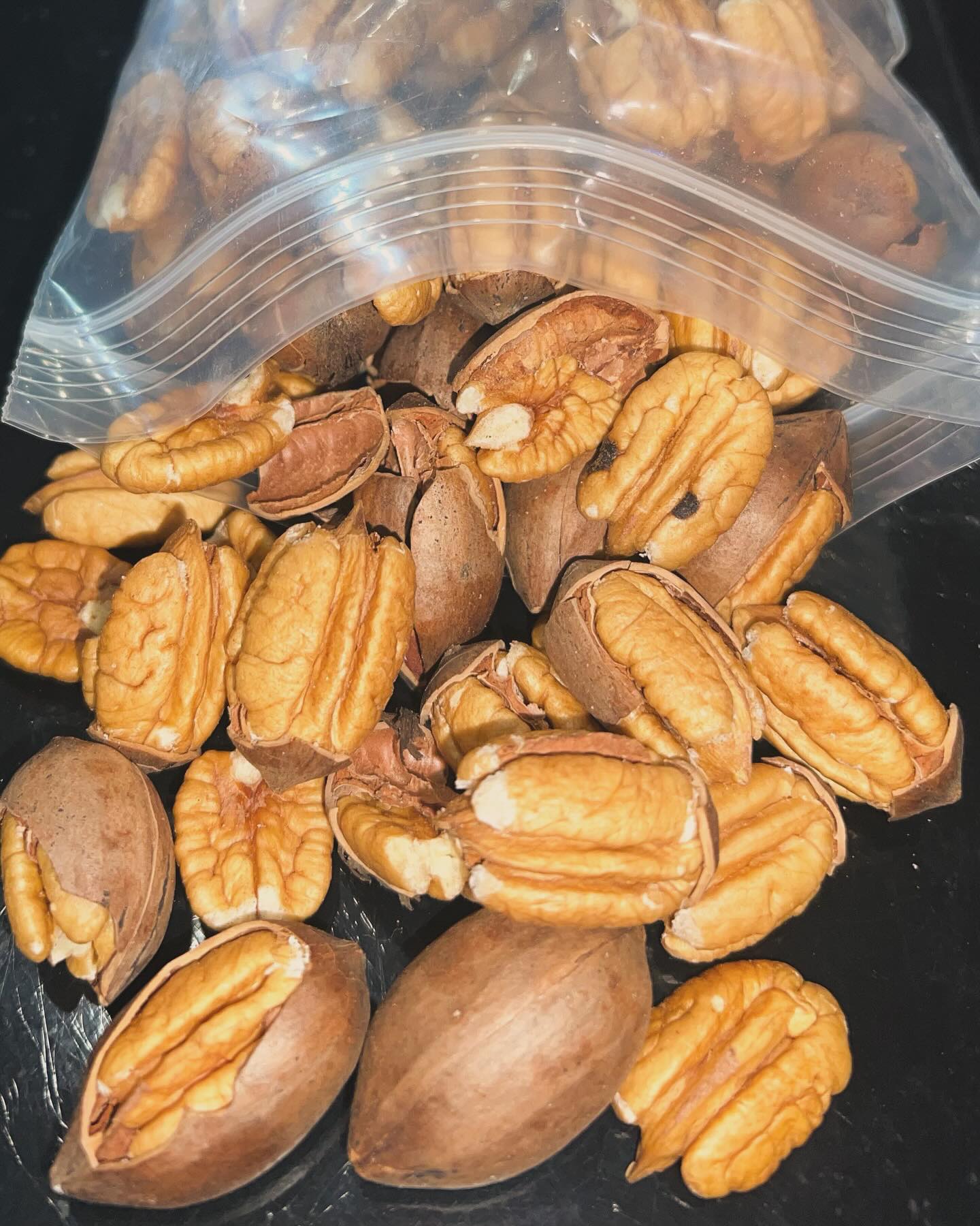 Pike House Pecans