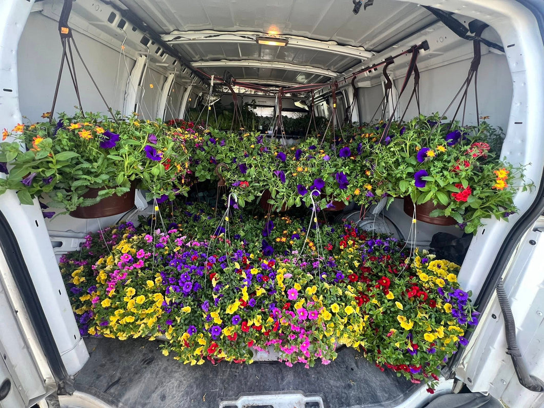 Hanging Flower Baskets