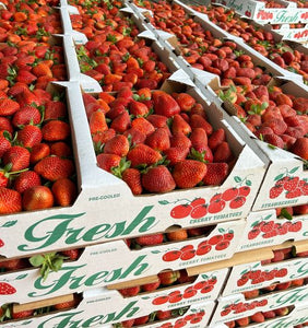 North Carolina Strawberries