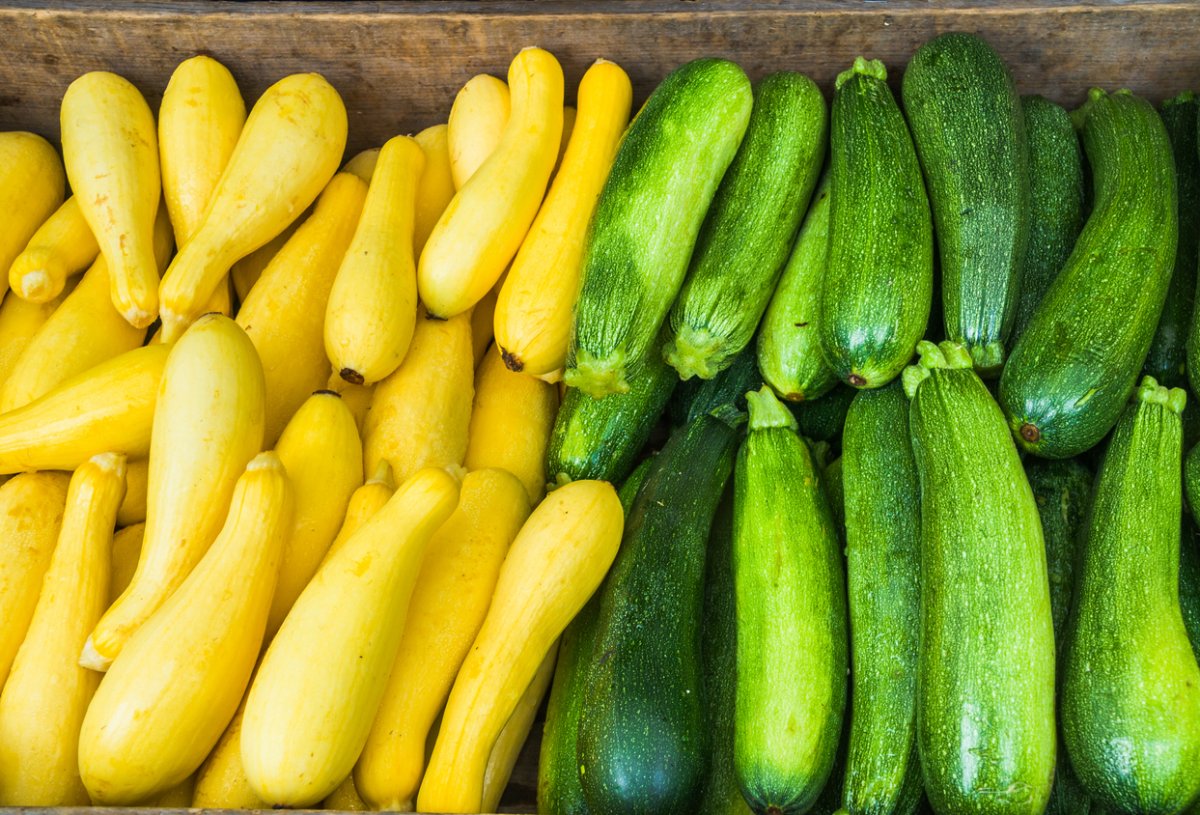 Yellow Squash &  Zucchini