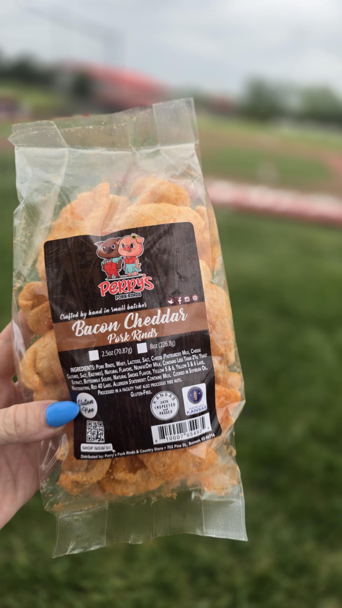 Pork Rinds – Perry's Pork Rinds & Country Store