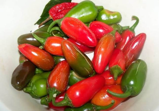Red and Green Jalapenos